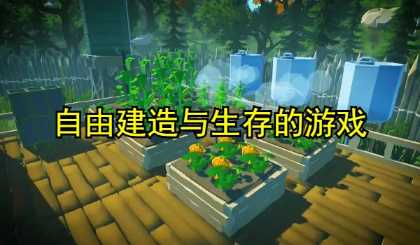 自由建造与生存的游戏