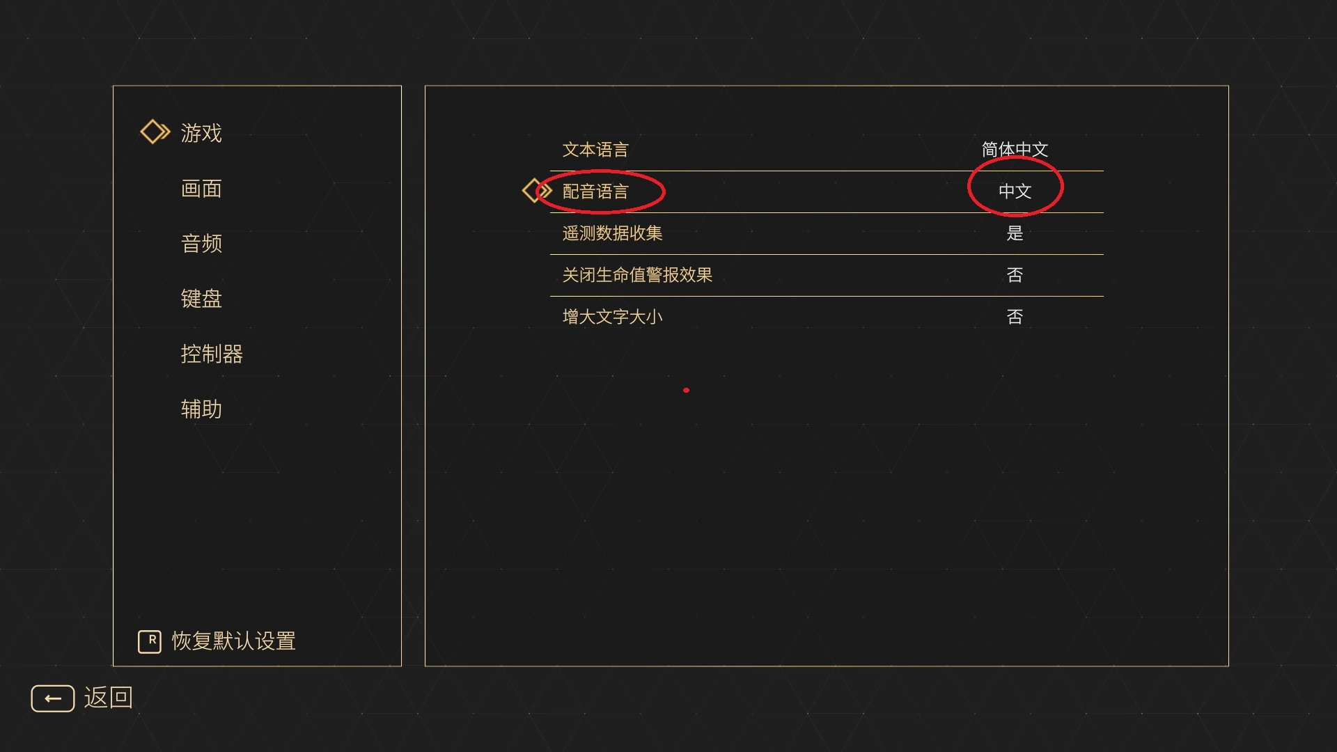 怎么设置中文截图3