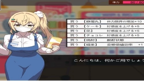 家政狂想曲汉化版1