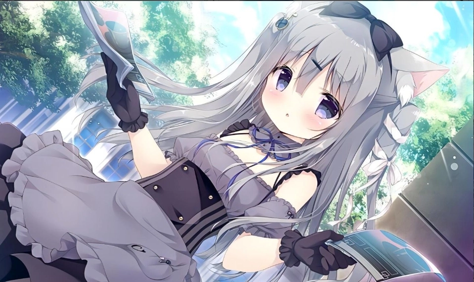 galgame游戏盒子4