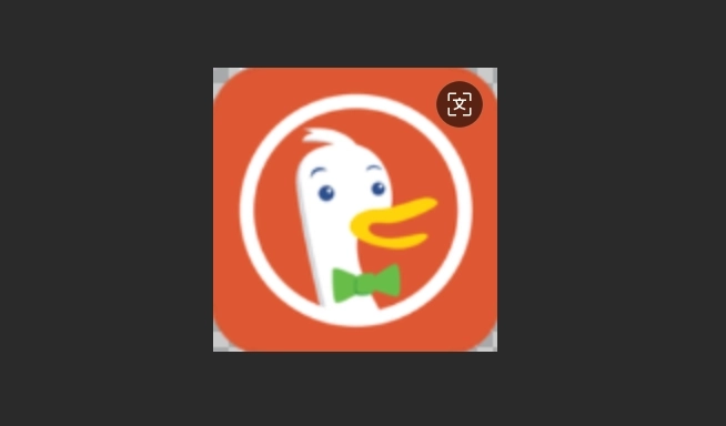 DuckDuckGo浏览器中文版-DuckDuckGo浏览器最新版-DuckDuckGo浏览器手机版下载