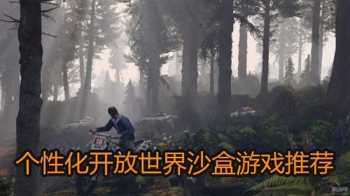 个性化开放世界沙盒游戏推荐