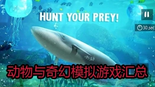 动物与奇幻模拟游戏汇总