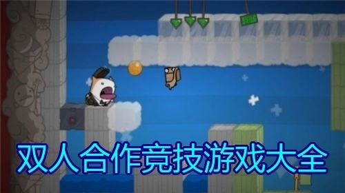双人合作竞技游戏大全