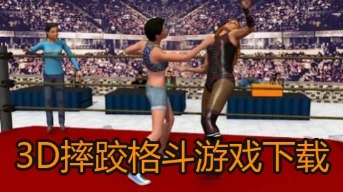 3D摔跤格斗游戏下载