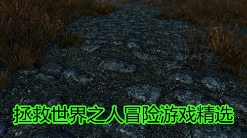拯救世界之人冒险游戏精选