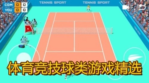 体育竞技球类游戏精选