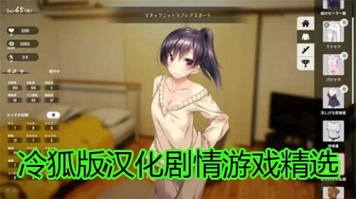 冷狐版汉化剧情游戏精选