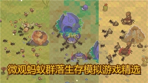 微观蚂蚁群落生存模拟游戏精选