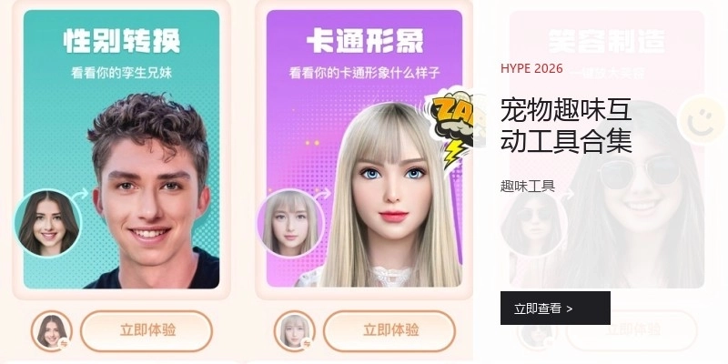 寵物趣味互動(dòng)工具合集