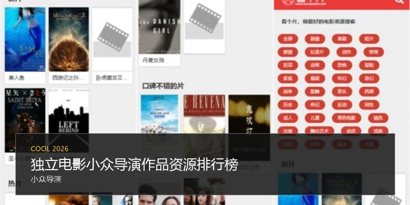 独立电影小众导演作品资源排行榜