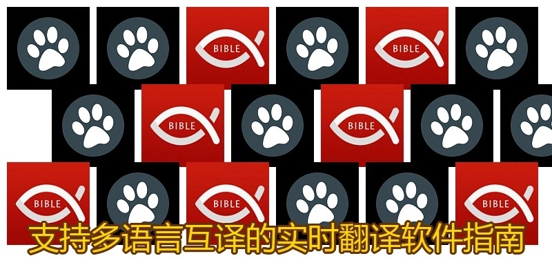 支持多语言互译的实时翻译软件指南