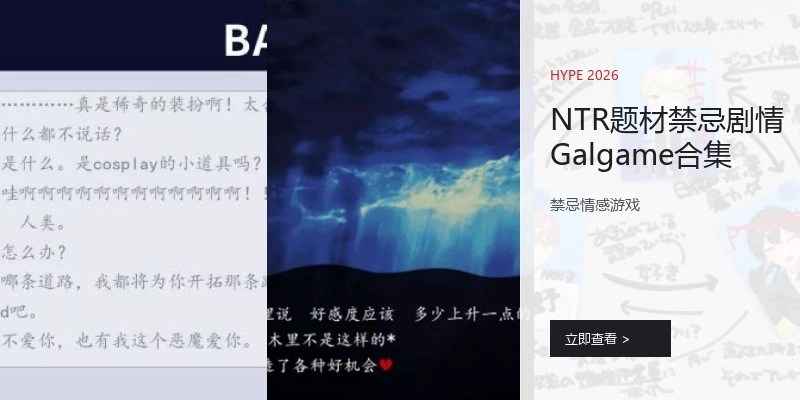 NTR题材Galgame合集