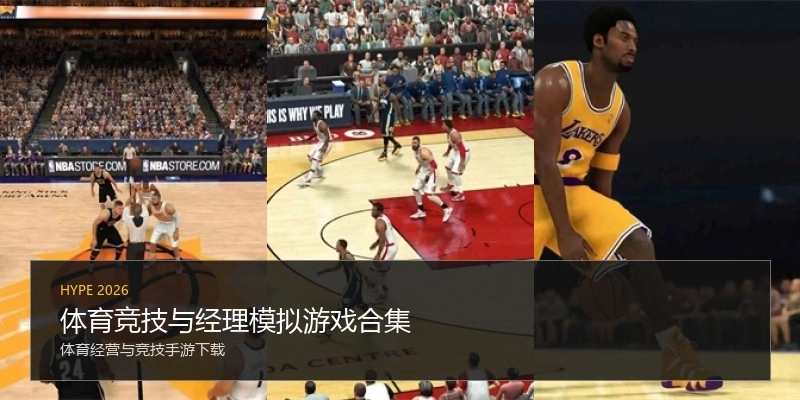 体育竞技与经理模拟游戏合集