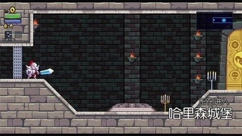 盗贼遗产1手机版图2