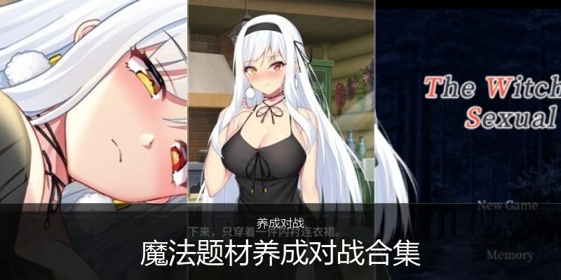 魔法题材养成对战合集