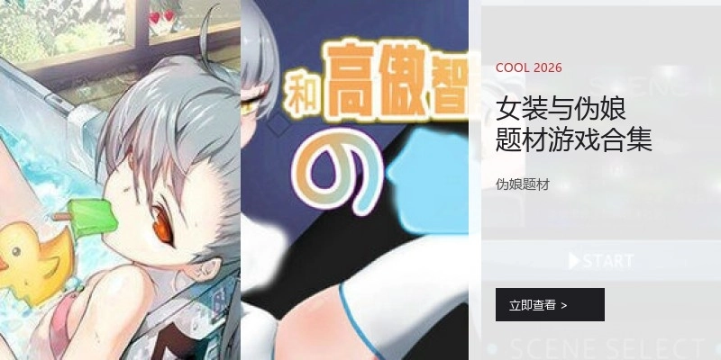 女装与伪娘题材游戏合集