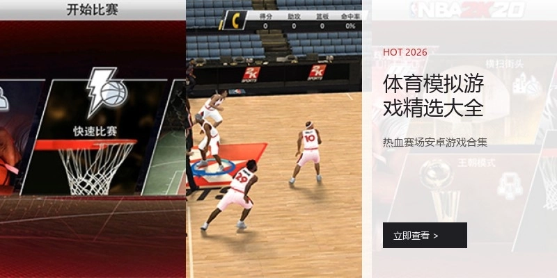 体育模拟游戏精选大全