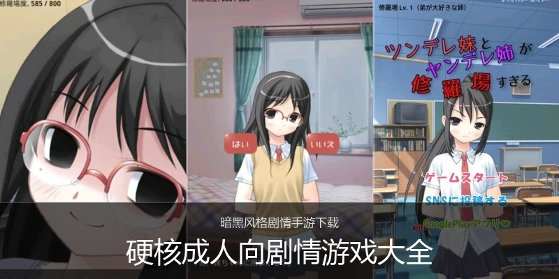 硬核成人向剧情游戏大全