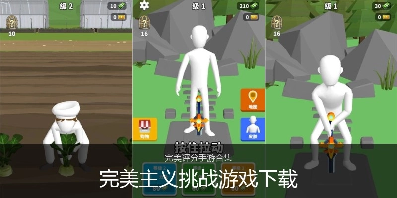 完美主义挑战游戏下载