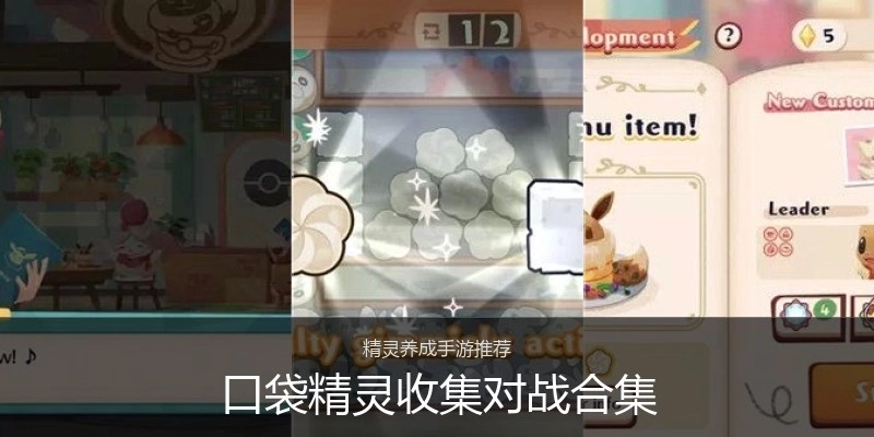 口袋精灵收集对战合集
