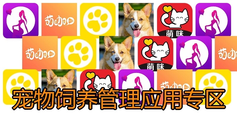 宠物饲养管理应用专区
