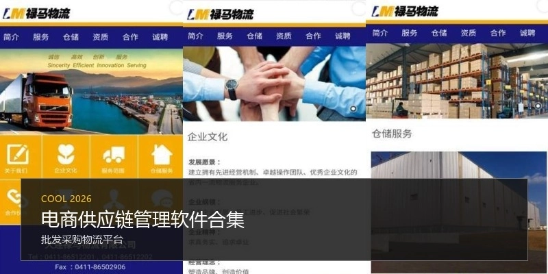 电商供应链管理软件合集