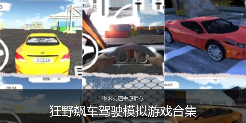 狂野飙车驾驶模拟游戏合集