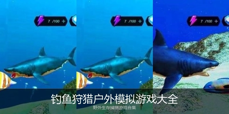 钓鱼狩猎户外模拟游戏大全