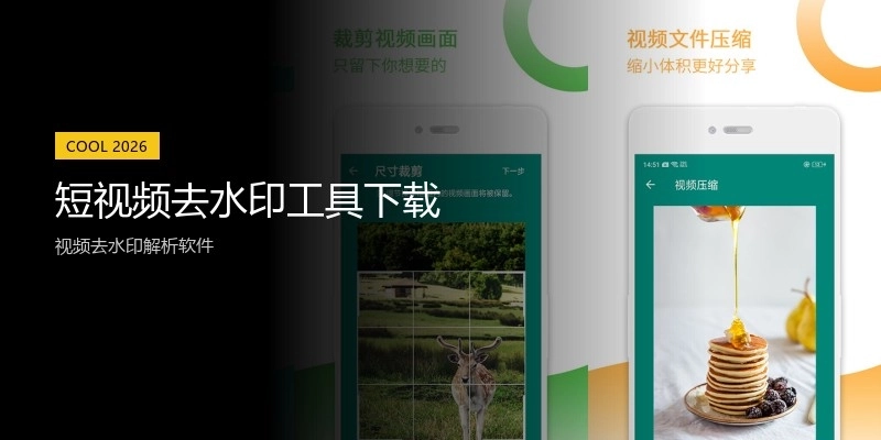 短视频去水印工具下载