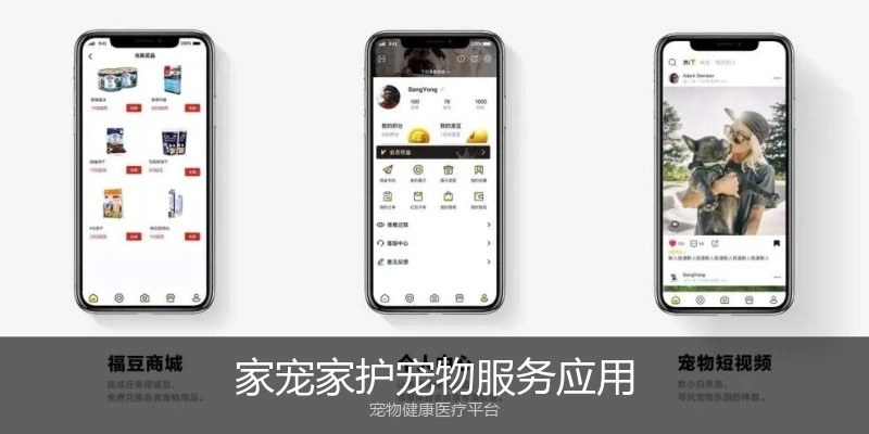 家宠家护宠物服务应用