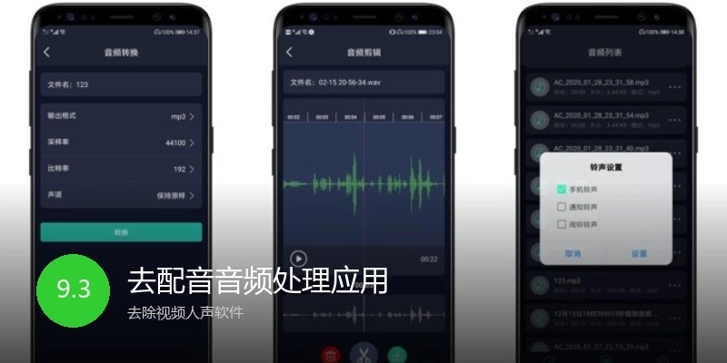 去配音音频处理应用