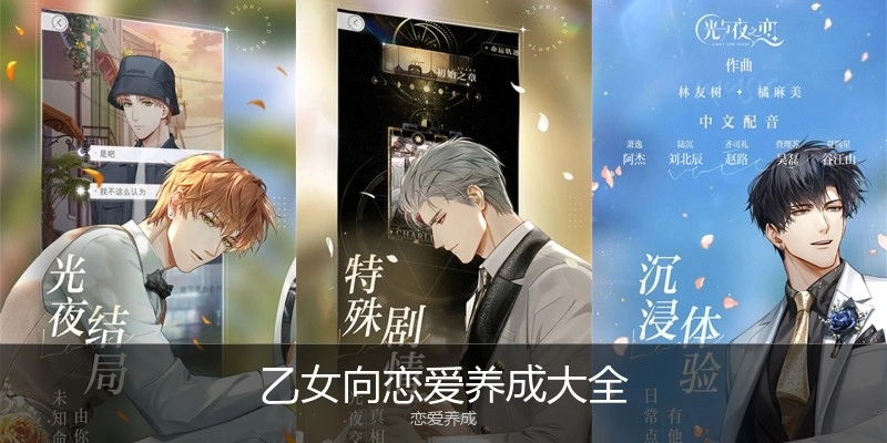 乙女向恋爱养成大全