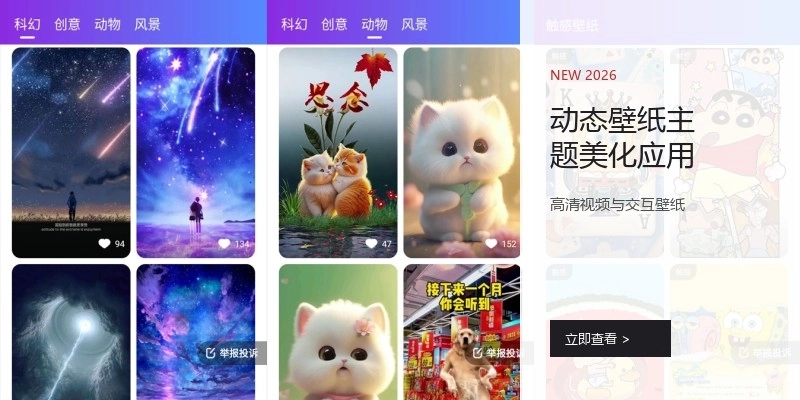 动态壁纸主题美化应用