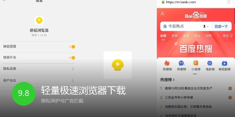 轻量极速浏览器下载