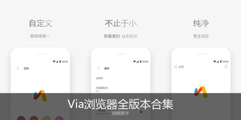 Via瀏覽器全版本合集