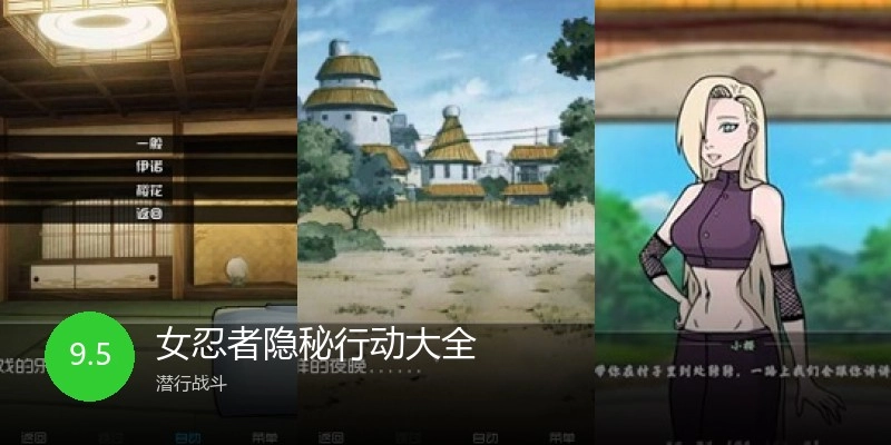 女忍者隐秘行动大全