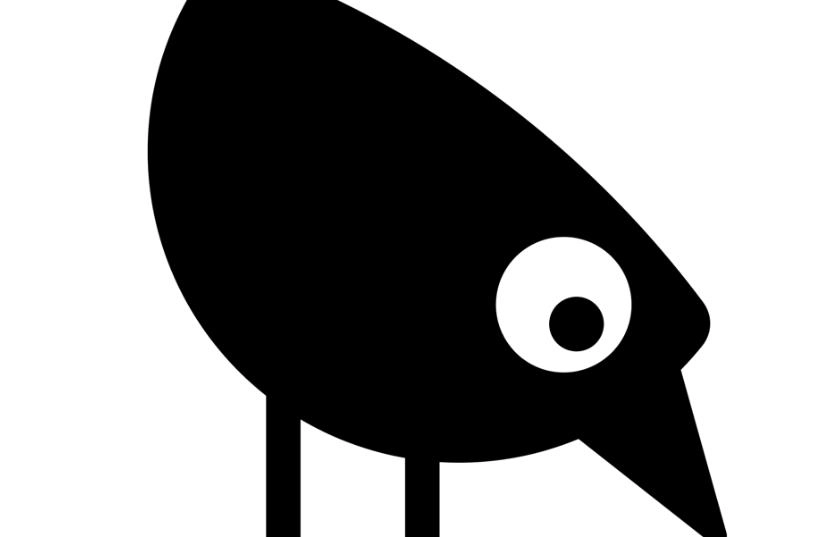 memefans小黑鸟软件-memefans小黑鸟官方版正版-memefans软件合集