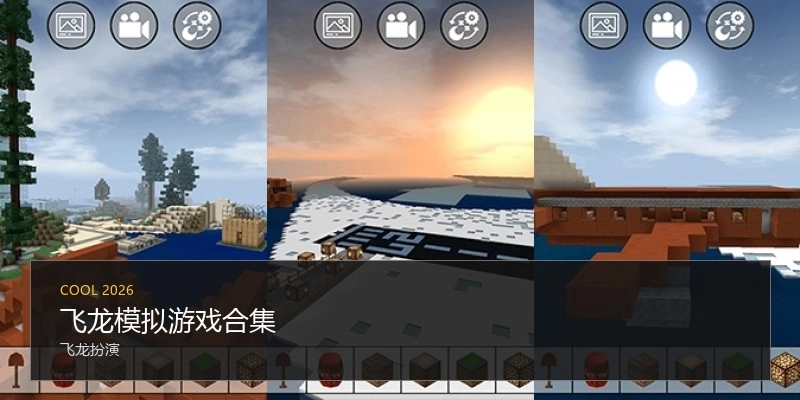 飞龙模拟游戏合集