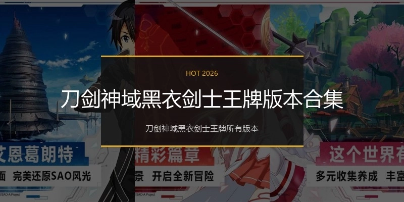 刀剑神域黑衣剑士王牌版本合集