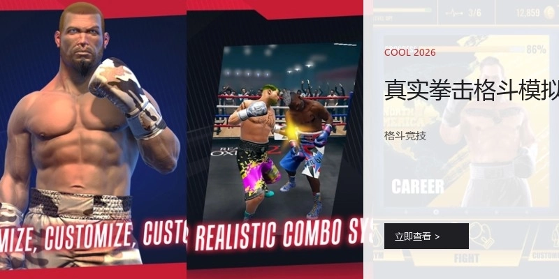 真实拳击格斗模拟