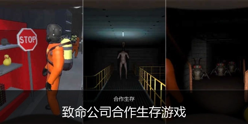 致命公司合作生存游戏