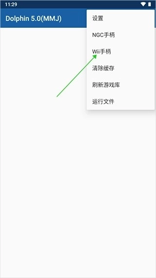 wii模拟器安卓汉化版截图4