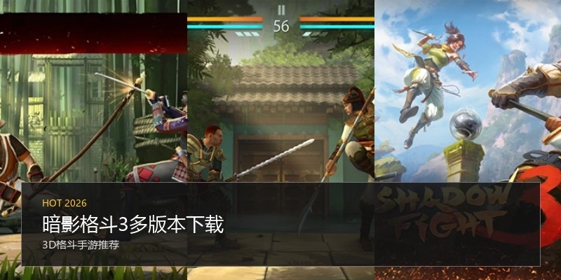 暗影格斗3多版本下载