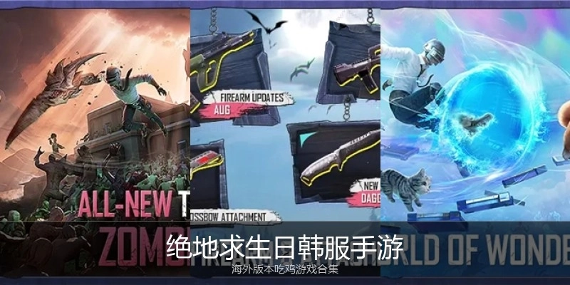 绝地求生日韩服手游