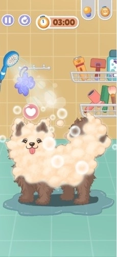 tidymaster安卓版2