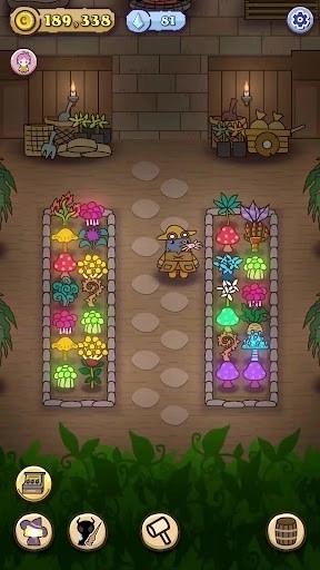 女巫的药水商店最新版6