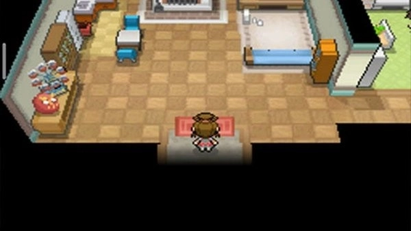 口袋妖怪超透黑22