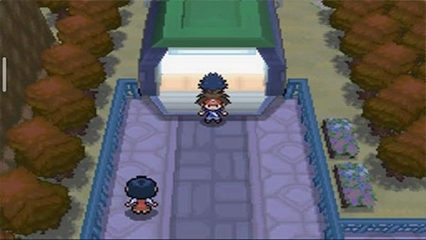 口袋妖怪超透黑23