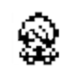 黄金坛说白月光